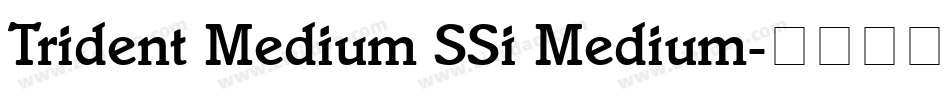 Trident Medium SSi Medium字体转换